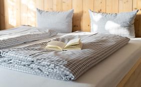 Alps Hostel